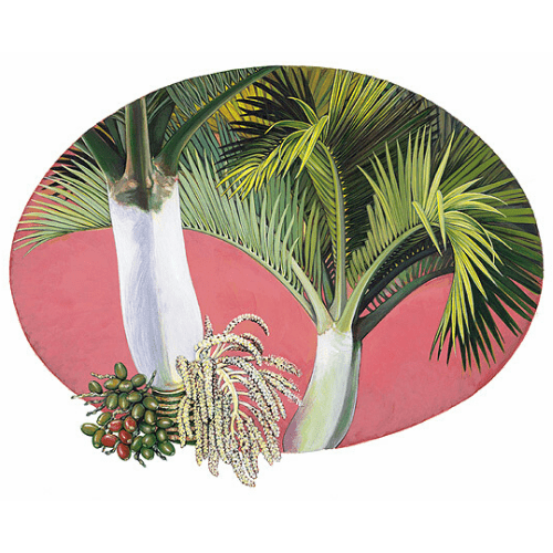 Big Mountain Palm Lord Howe Island Margaret Murray Art